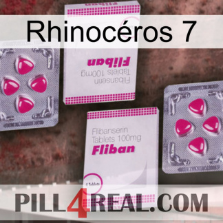 Rhinocéros 7 33
